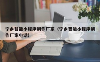 海丰宁乡智能小程序制作厂家（宁乡智能小程序制作厂家电话）